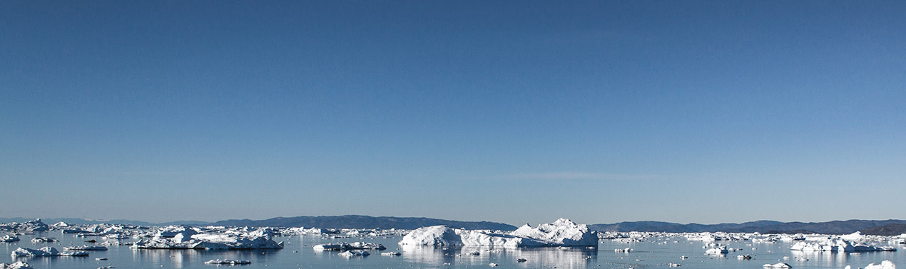 Discover Iceland this summer!
