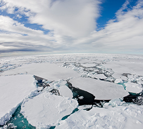 spitsbergen pack ice july