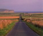 Road to the coast