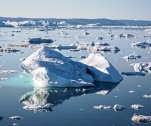 Iceberg